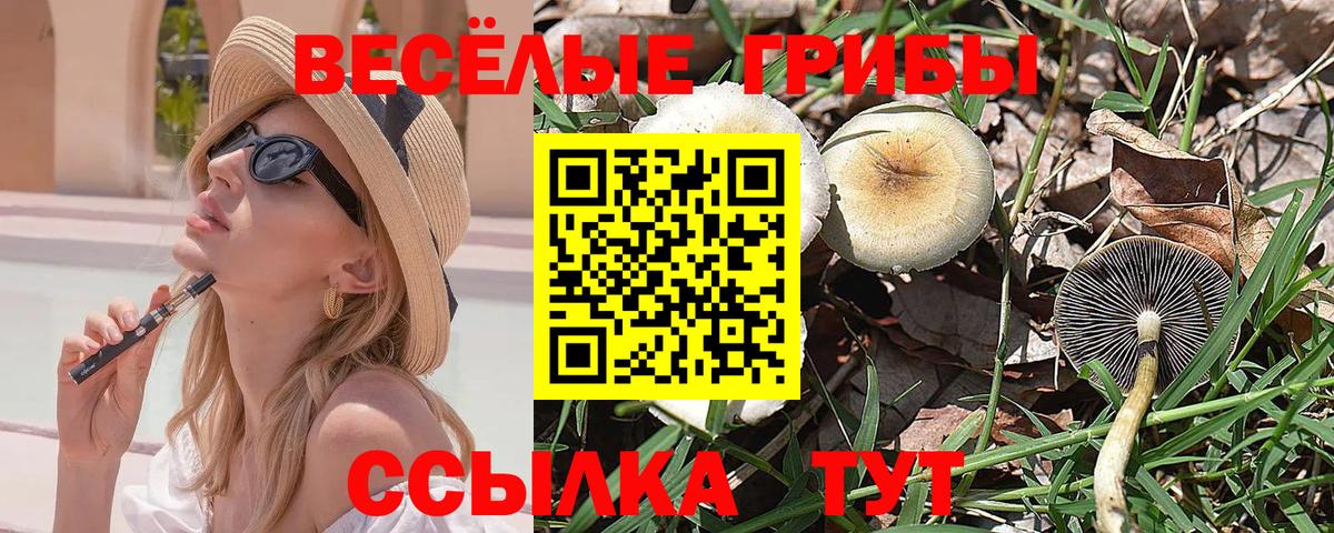 Псилоцибиновые грибы MAGIC MUSHROOMS  Вход с VPN  Лесозаводск 