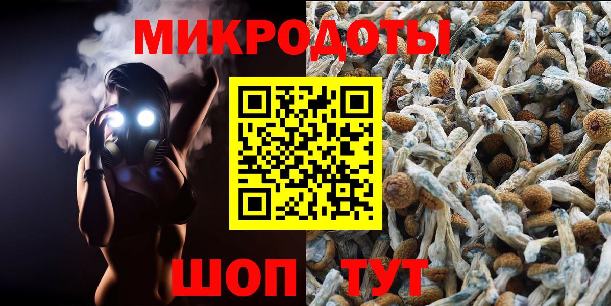 Псилоцибиновые грибы MAGIC MUSHROOMS Лесозаводск